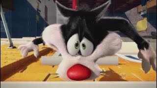 Piu Piu e Frajola - Eu acho que vi um Gatinho