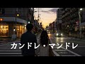 【AI cover】カンドレ・マンドレ/アンドレ・カンドレ(井上陽水)