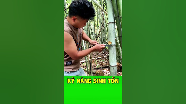 Cách tìm nước uống từ cây tre