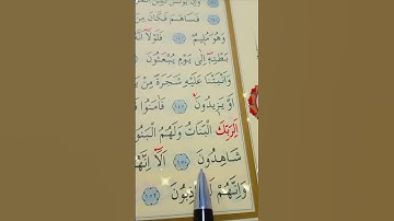 سورة الصافات الأية 148 إلى 153 القارئ سعد الغامدي #قران_كريم