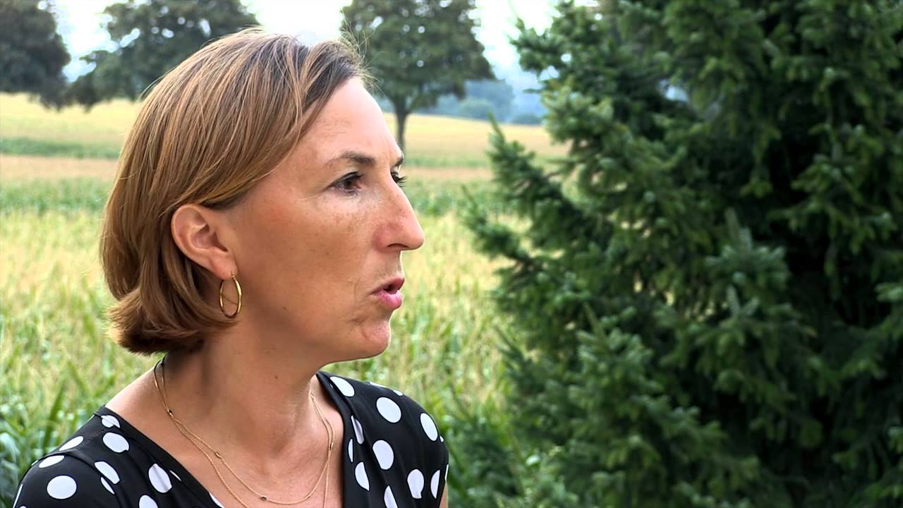 L'histoire de Vapodil