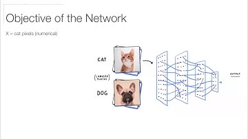 The Math Behind Neural Networks (01)