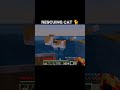 Minecraft Cat Rescue || Minecraft #minecraft #shortsfeed #shorts