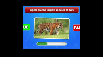 Animal Myths Busted- or Confirmed? True or False Quiz 35