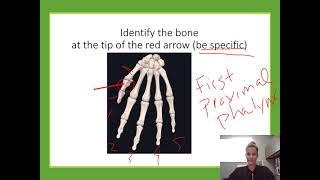 API Practice Lab Exam: Skeletal & Integumentary