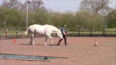 Carol Dial and Hettie Starter Horse Agility April ...