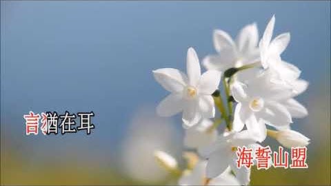 Thumbnail of 永繫不了情(林慕貞子喉伴唱)