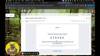 Celebrity Setting up your Nexus Node Wealth