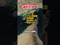ホルムズ海峡でイラン「選別封鎖」の現実 #イラン #イラン戦争 #イスラエル