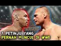 7 petinju yang pernah muncul di wwe