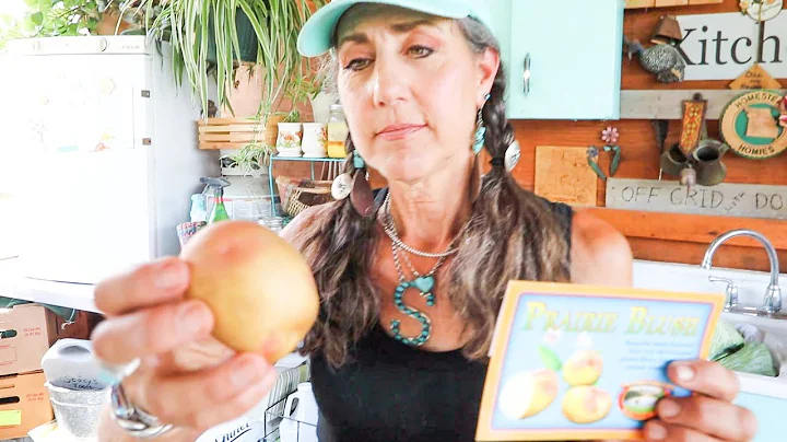 It's ALL ABOUT THE POTATOES! survival Food