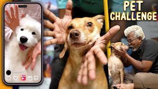 Viral TikTok Pet Challenges with COCO ❤| Cuteness Overloaded