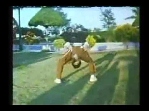 Mafia Vs Ninja REMIX