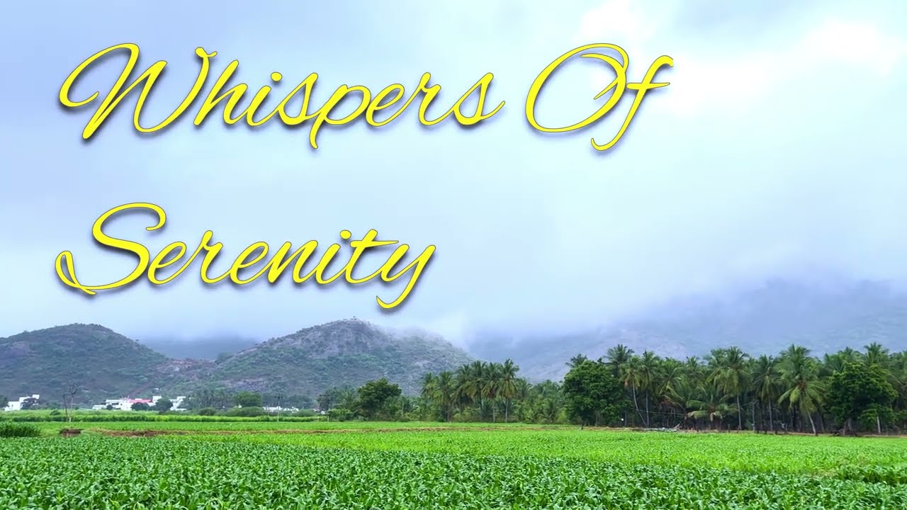 A Calm and serene Indian Village in 4K || Oddanchatram