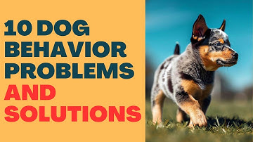 10 Common Dog Behavior Problems and Solutions