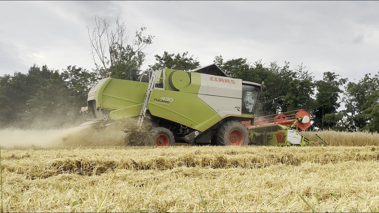 Claas Tucano 430 - Dreschen bis zum Regen🌧🌦