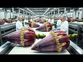 100,000 LB Per Day – The INSANE Speed of a Modern Banana Blossom Factory