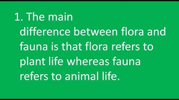 Difference between flora and fauna