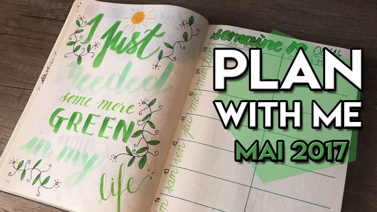 PLAN WITH ME - Mai 2017 | Bullet journal 🐺