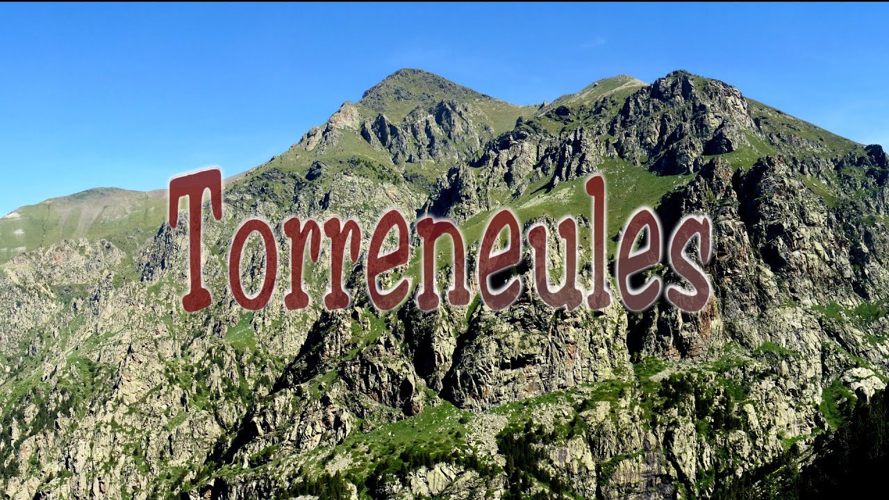 Torreneules des de Daiò