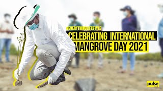 Celebrating International Mangrove Day 2021
