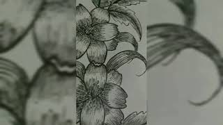 floral illustration