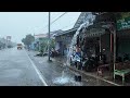 Walk in heavy rain and thunderstorms in rural life  terrible storm and thunder sounds in village