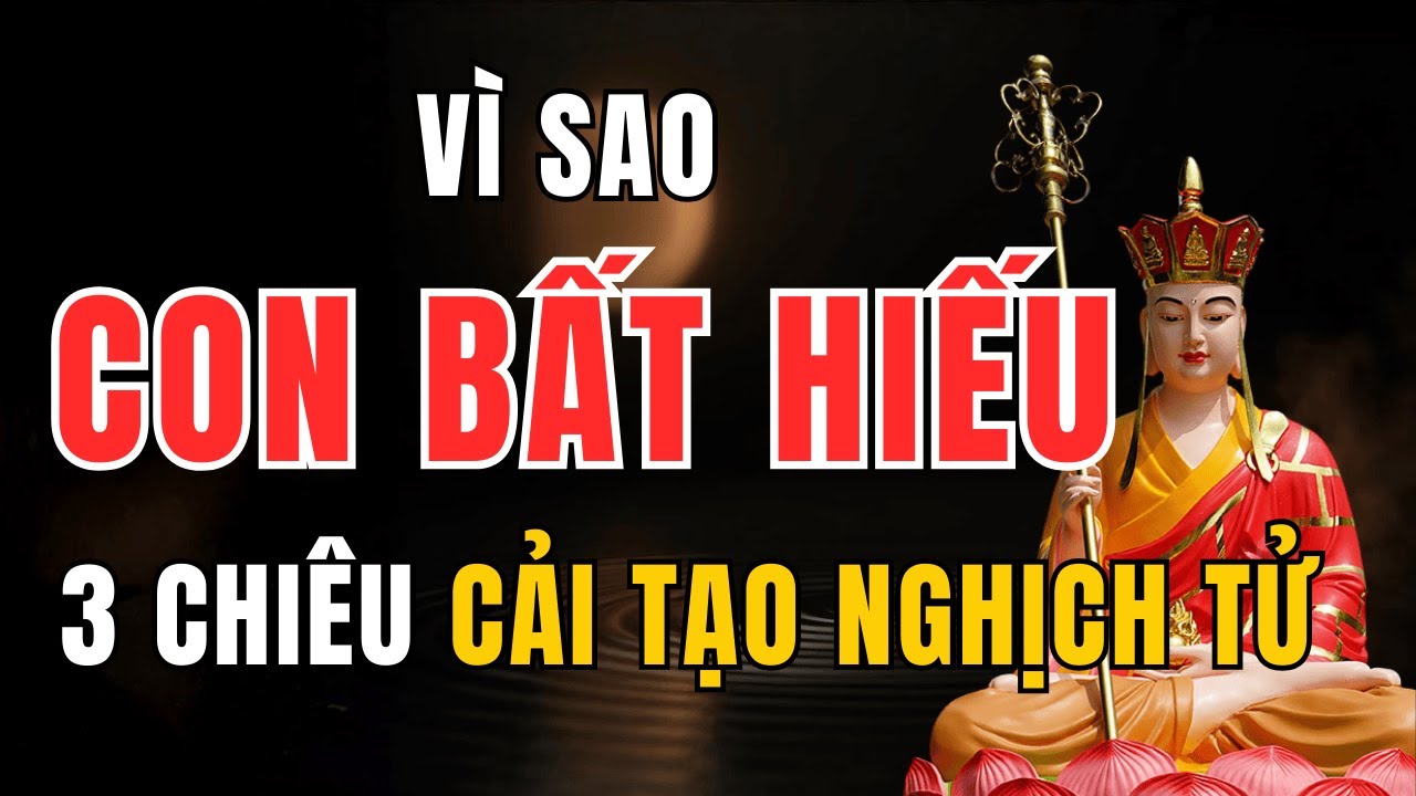 Con Bất Hiếu Có Phải Do Nghiệp Cha Mẹ? 3 Bước "Cải Tạo" Nghịch Tử Tại Nhà (Hiệu Nghiệm)