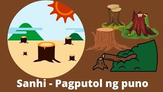Sanhi at Bunga Ng Pagkasira Ng Kapaligiran Gr1