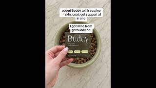 calm dog = calm home 🤍🐾@Buddy #DogWellness #DogHealth #sponsored #fyp #usa🇺🇸