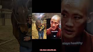 #horse #friendship #pets #cat #horsevideo #catlove #motivation #lesson