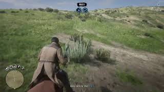 red dead redemption 2 online live