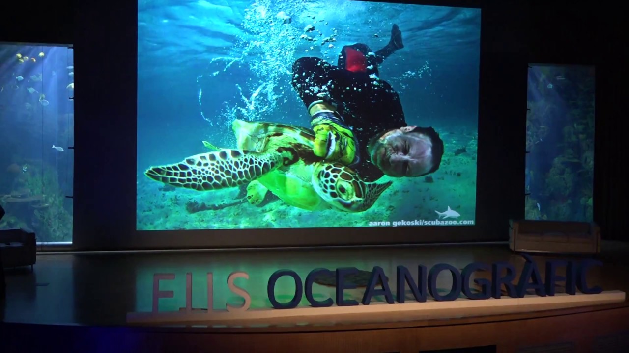 Nicolás Pilcher. FIIS 2017. Festival Internacional de Imagen Submarina