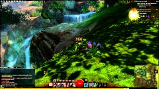 Guild Wars 2 Texture And Scenery Bug.