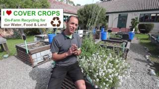 Cover crops, Zero Waste and Earth Day at Lincoln Elementary School Garden
