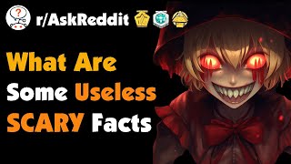 What Are Some Useless Scary Facts?