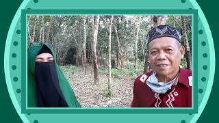 EFEK ECO FARMING DI POHON KARET