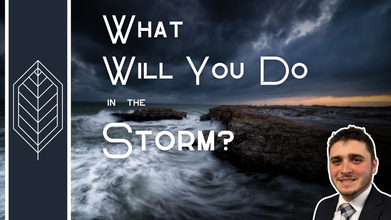 What Will You Do in the Storm?
