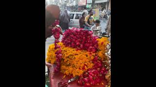 Most Likely Flowers In The World