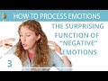 The Function of Emotions 3/30 Depression and Anxiety Skills- Why Coping Skills Can Make it Worse