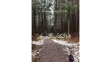 ماتيسر من سورة الدخان| القارئ: إسلام صبحي