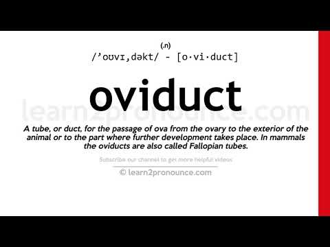 Видео: Что такое определение oviduct?