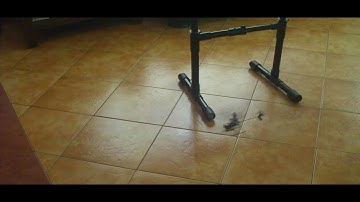 MSR: With the Walkera 4#3B Paddles - Nose-in approach around the pole 1