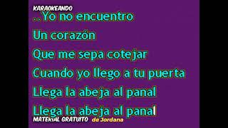 Karaoke - Juan Luis Guerra - Como la abeja al panal (Coros)