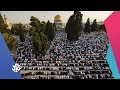 عيد الأضحى في القدس أكثر من 100 ألف يؤدون صلاة العيد وسط انتشار مكثف لشرطة الاحتلال شبابيك 