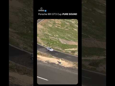 Porsche 991 GT3 Cup PURE SOUND 🔊👀👀 #cars #automobile #autonews #porsche #gt3