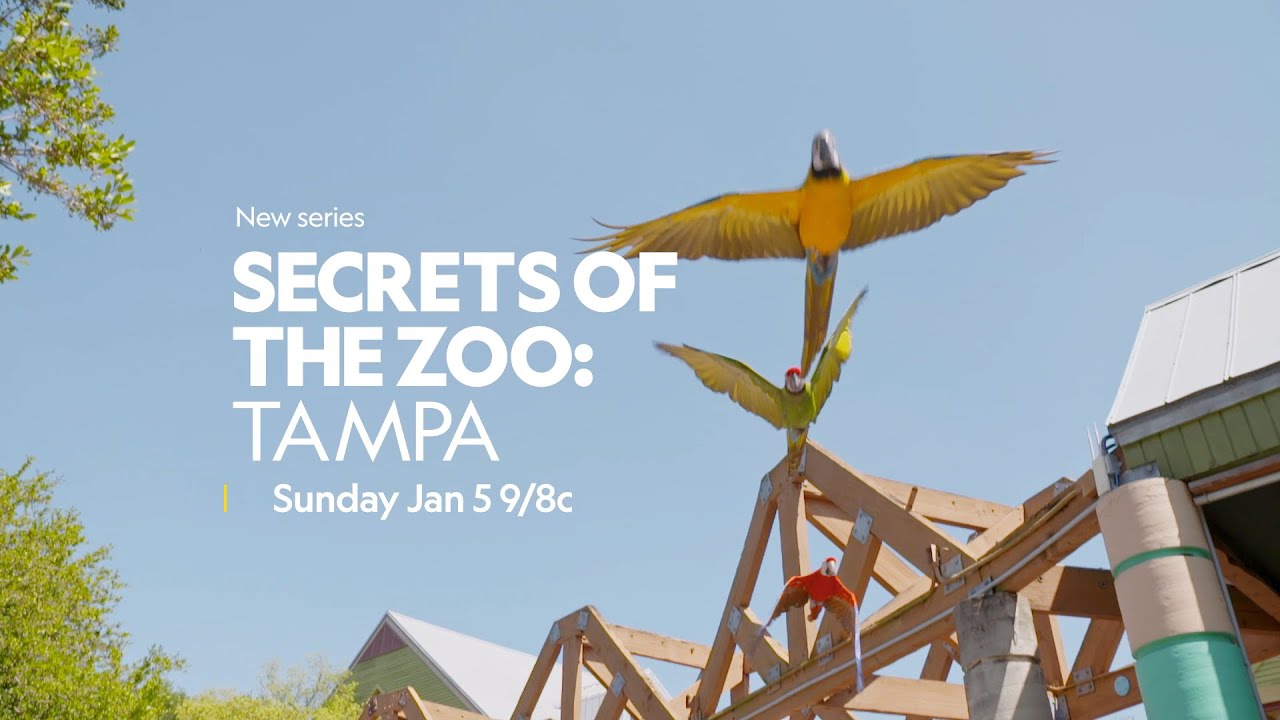 Secrets of the Zoo Tampa Premieres Sunday, January 5th on Nat Geo