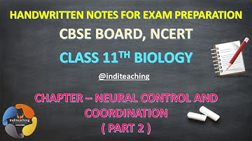 NEURAL CONTROL AND COORDINATION CLASS 11 BIOLOGY NOTES PART 2 @inditeaching