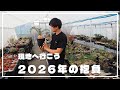 やっぱり現地へ行きたい！