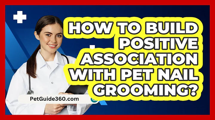 How to Build Positive Association with Pet Nail Grooming?
